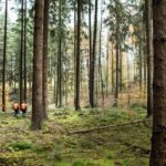 STIHL och Alligo inleder nytt nordiskt partnerskap – Swedol och Tools blir återförsäljare